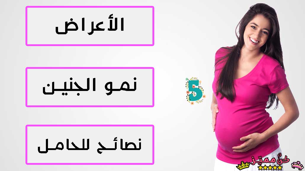 الحمل في الشهر الخامس