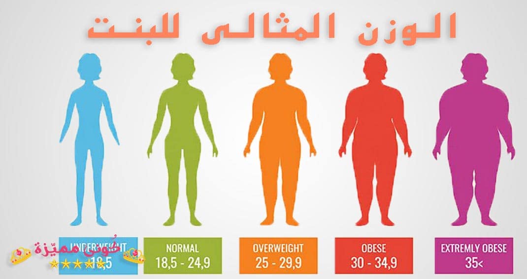 الوزن المثالي للنساء والفتيات في جميع السنوات وطريقة حسابه ونصائحه