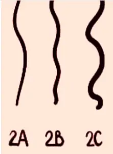 جميع أنواع الشعر الكيرلي